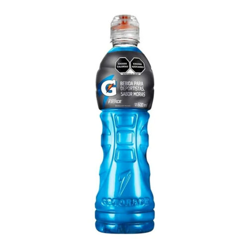 GATORADE 600 ML MORAS