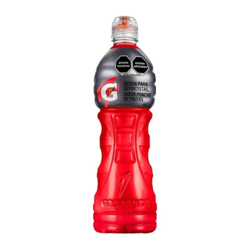 GATORADE 1 L PONCHE