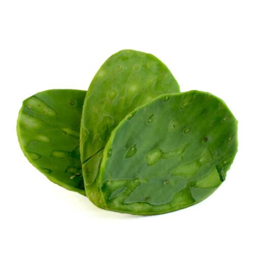 NOPALES FRESCOS