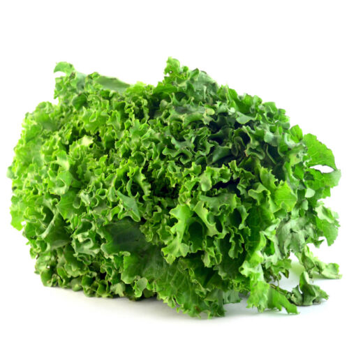 LECHUGA ITALIANA FRESCA