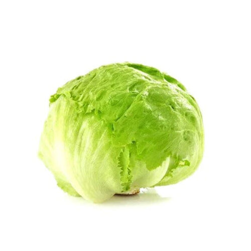 LECHUGA