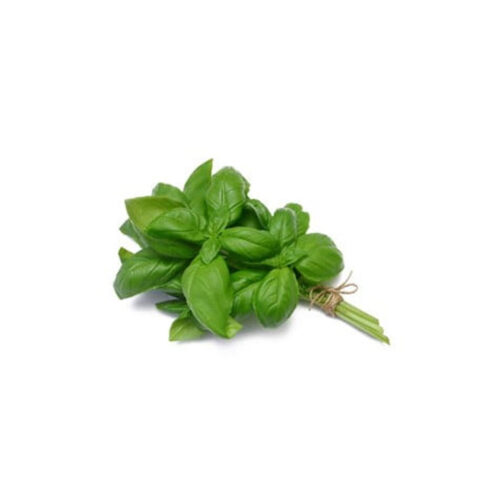 ALBAHACA FRESCA